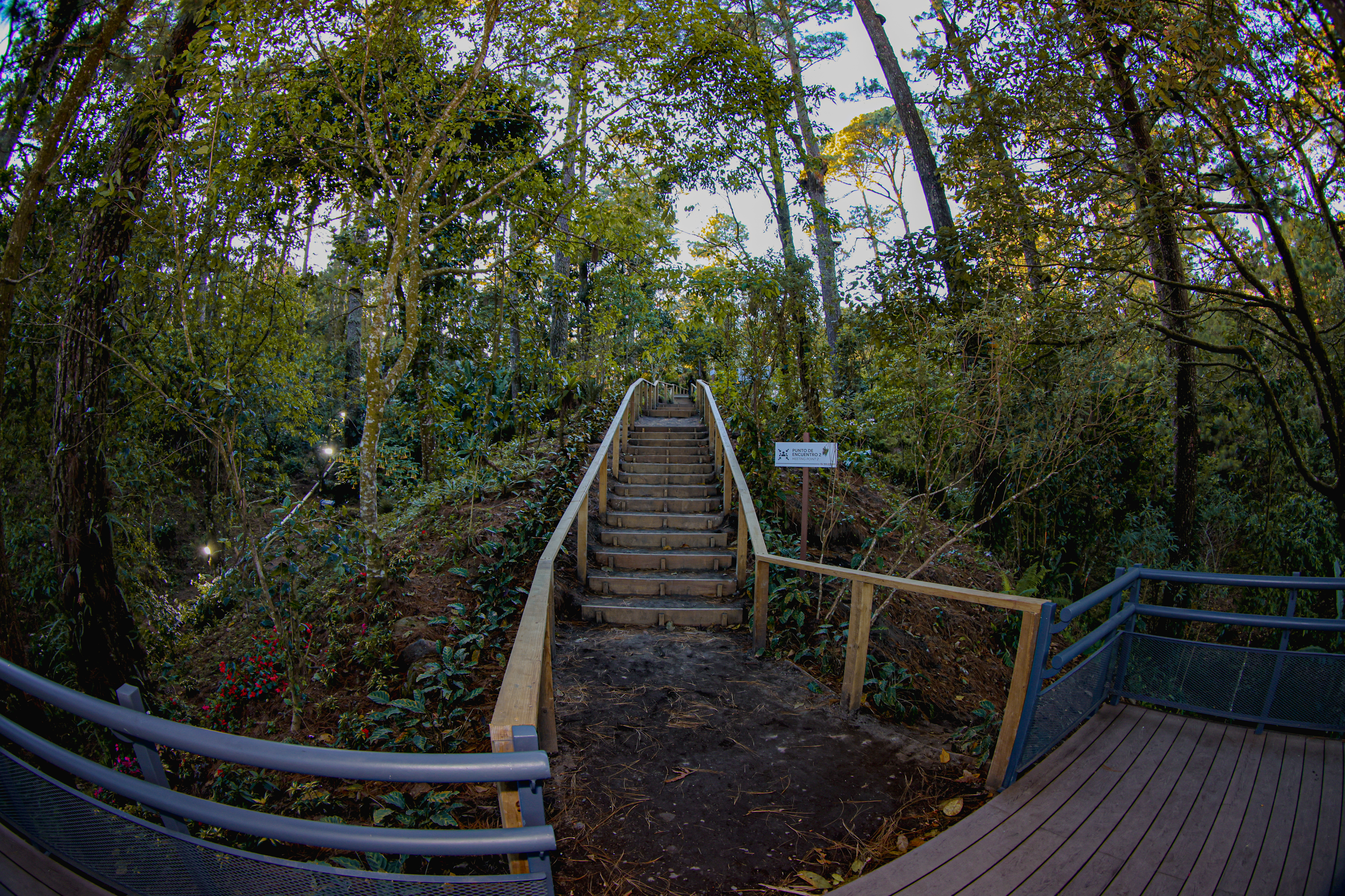 Photo from Parque Nacional El Boquerón